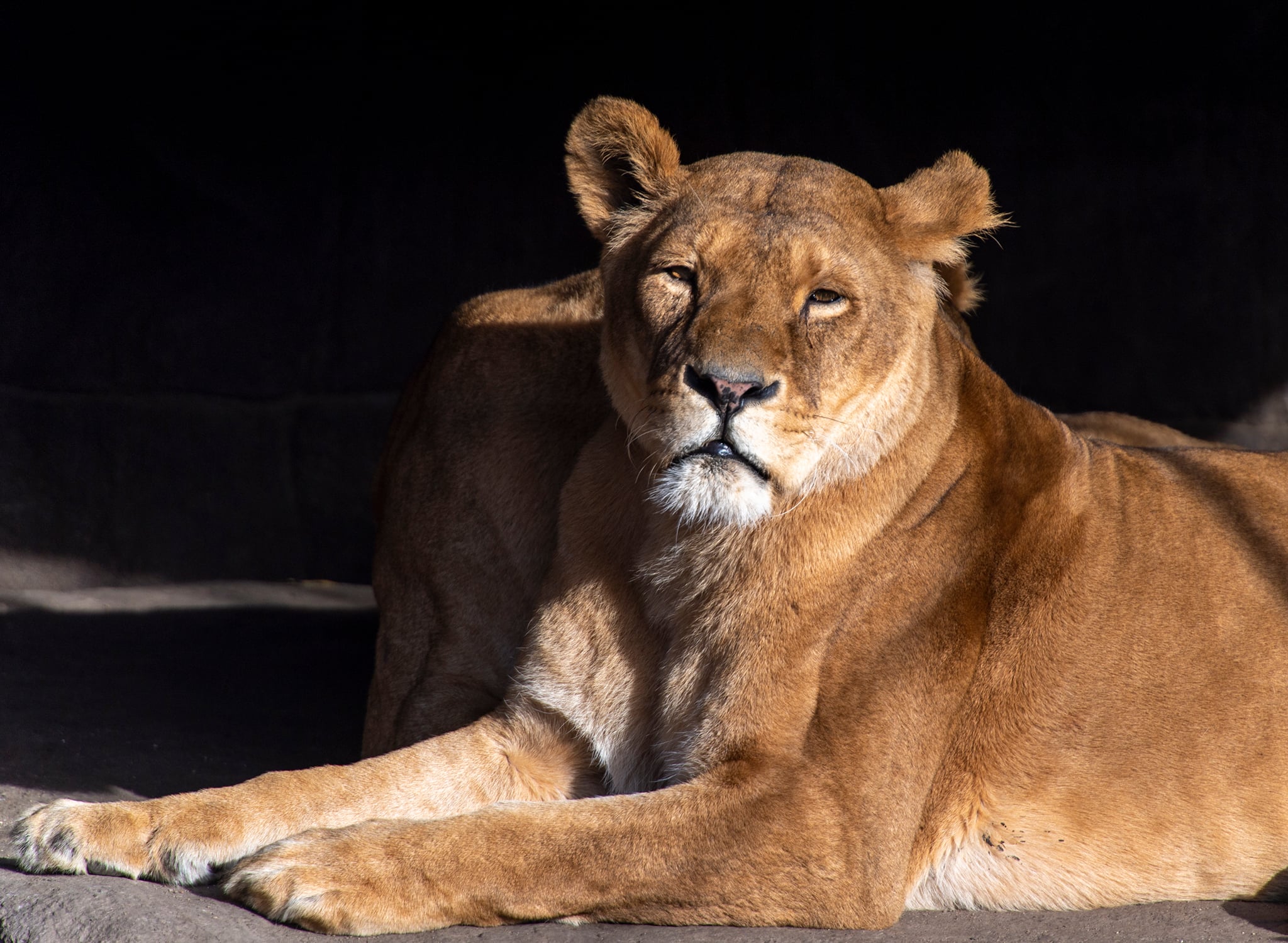 Zoologisk Have, København