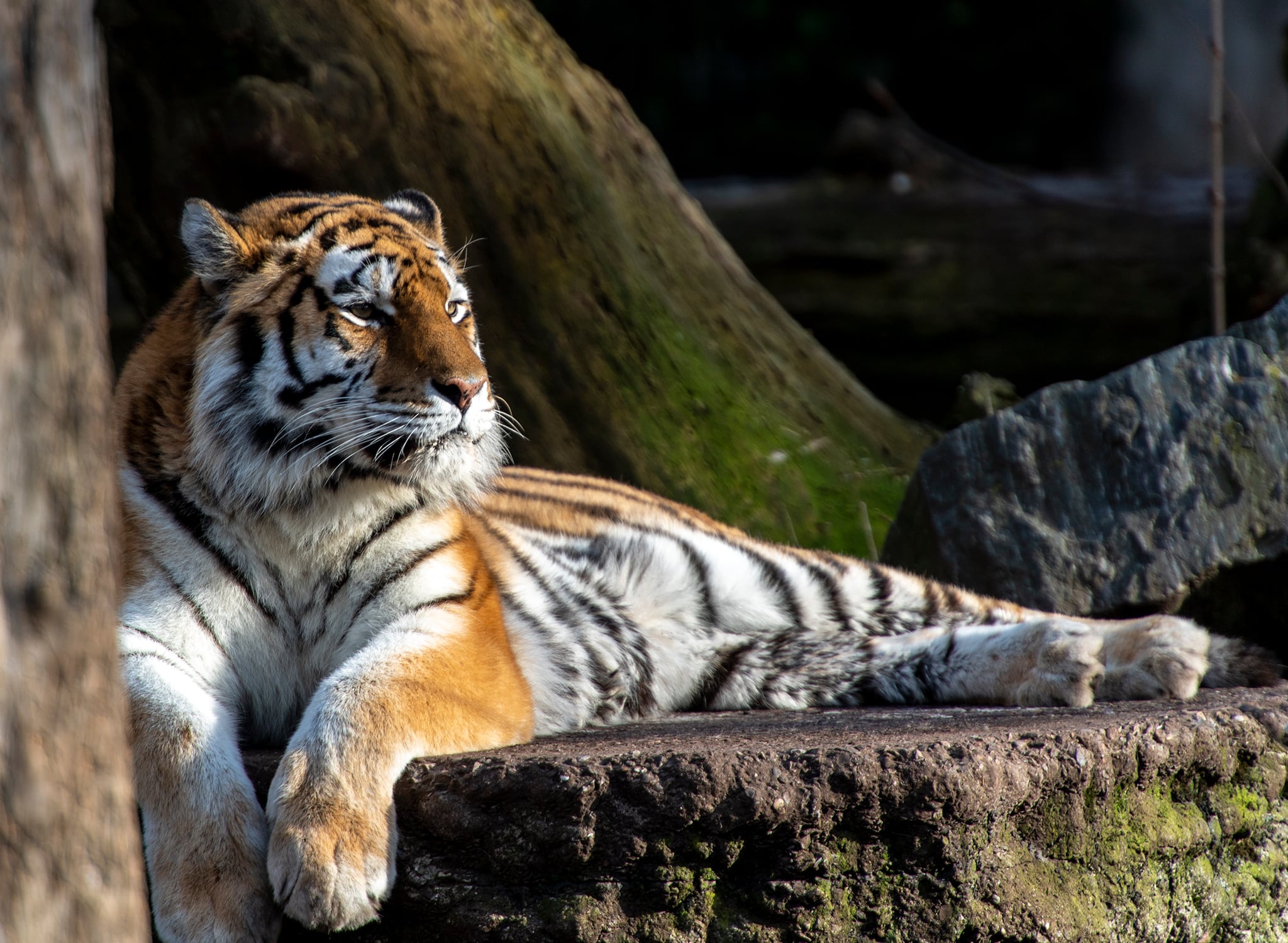 Zoologisk Have, København