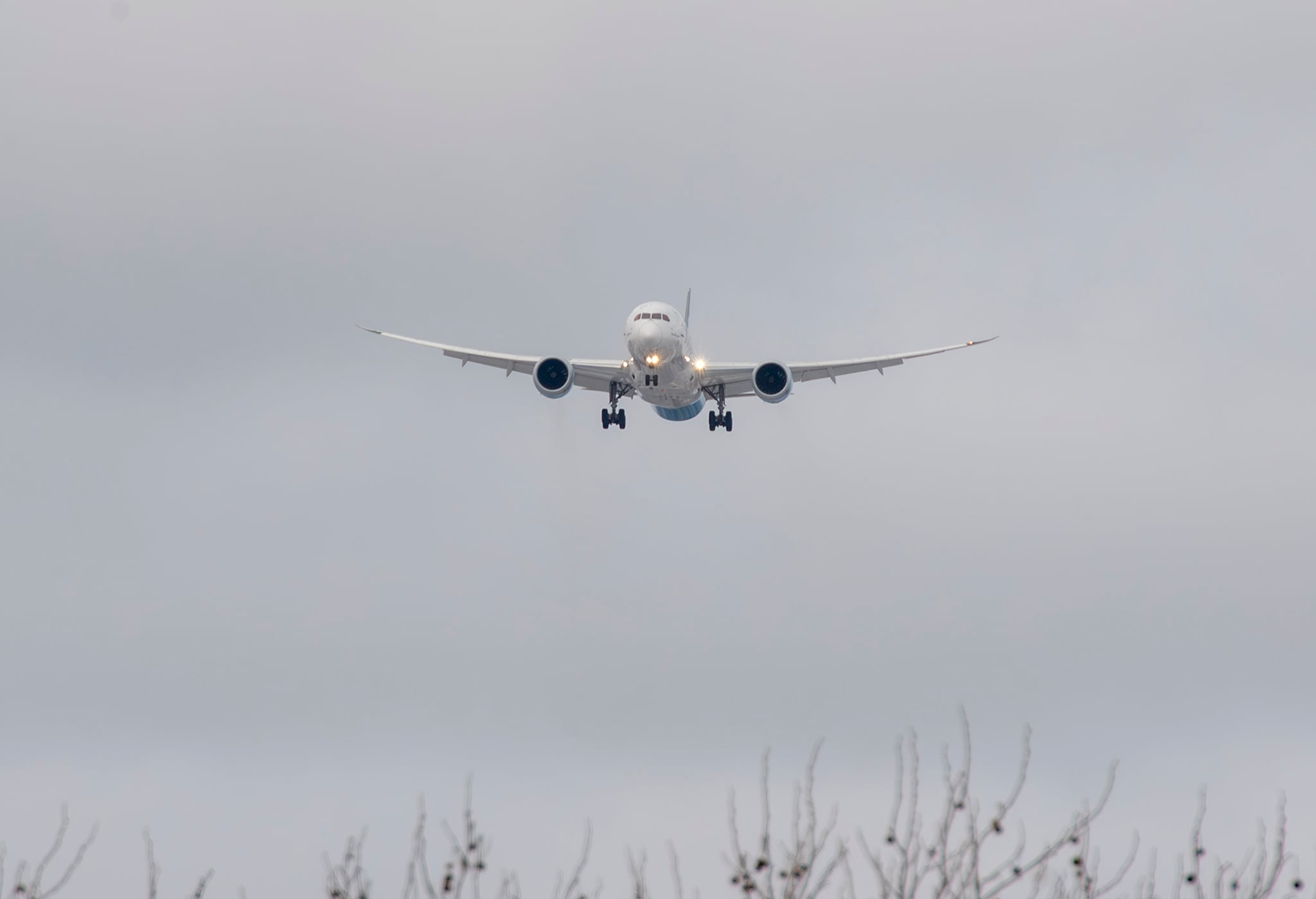 31-01-2026. Landing Bane 12. IndiGo - Boeing 787-9 Dreamliner. LN-LNO.